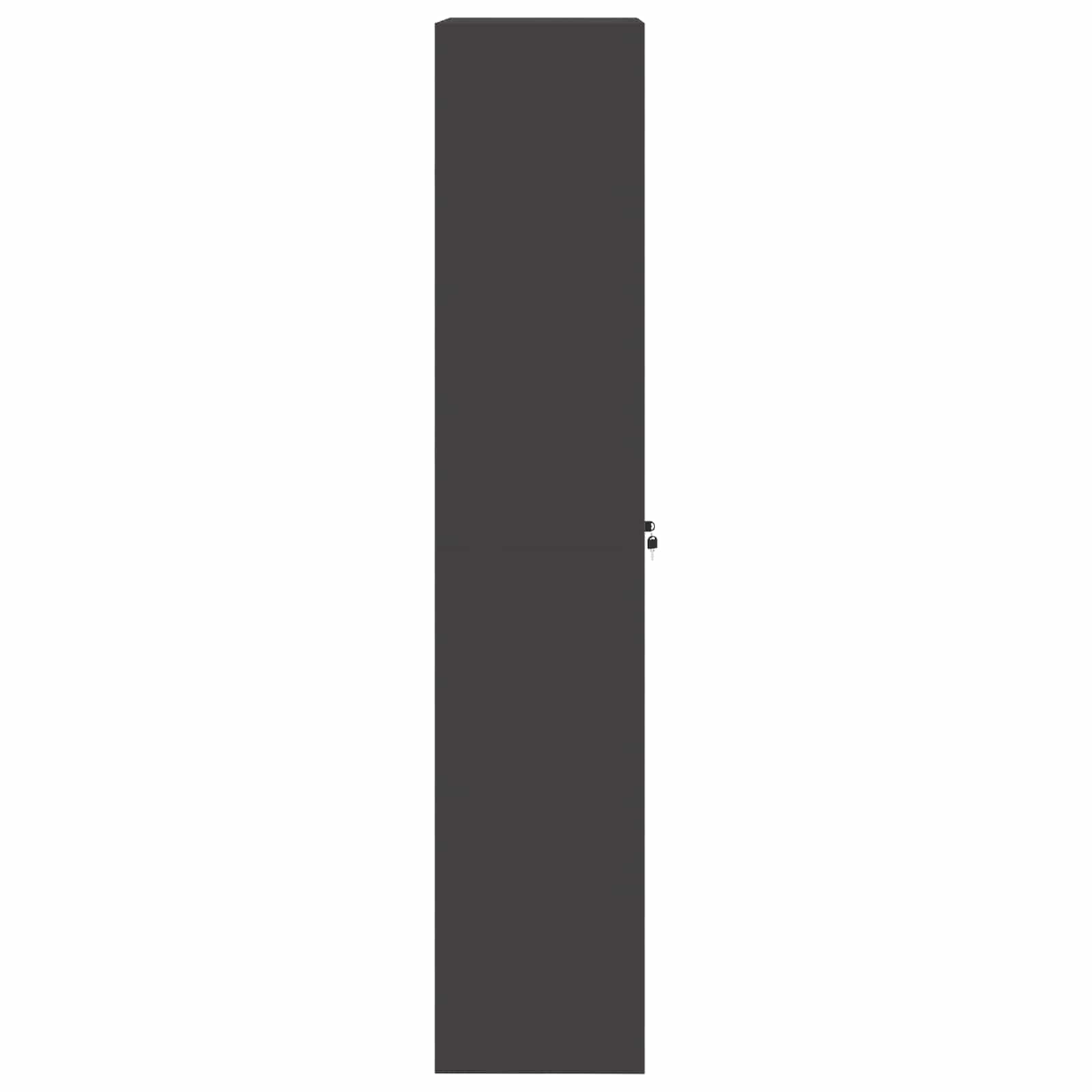 Förvaringsskåp 2 pcs Svart 60 x 40 x 200 cm Kallvalsat Stål